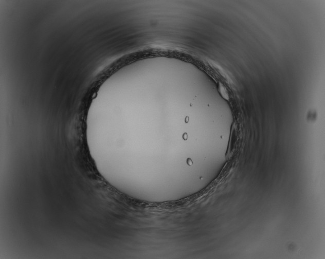 X0000102820776200809021250