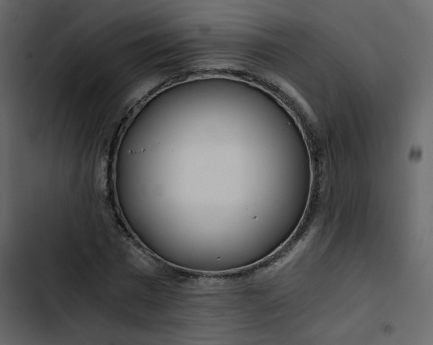 X0000102820777200809021250