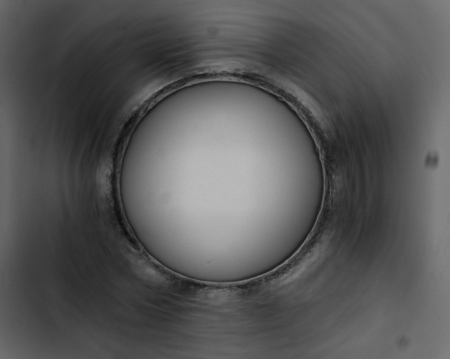 X0000102820778200809021250