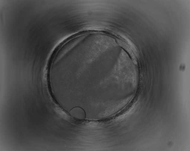 X0000102820779200809021250