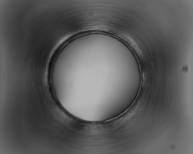 X0000102820780200809021250
