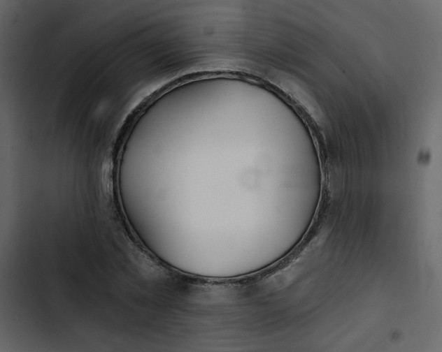 X0000102820781200809021250