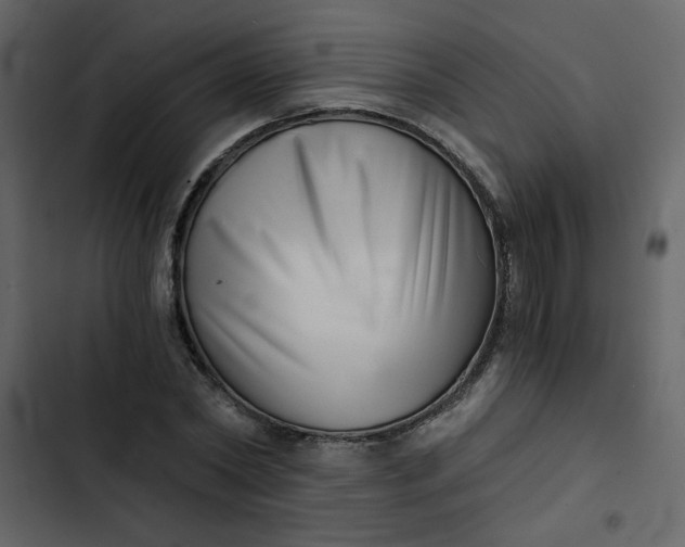 X0000102820782200809021250
