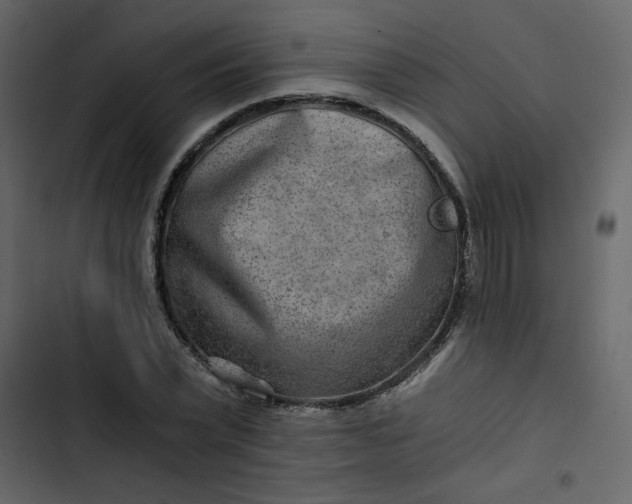 X0000102820783200809021249