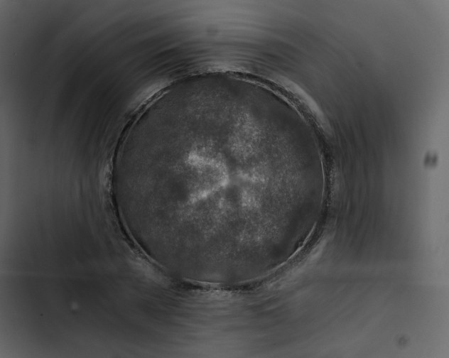 X0000102820785200809021249