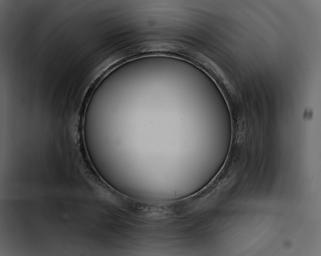 X0000102820786200809021249