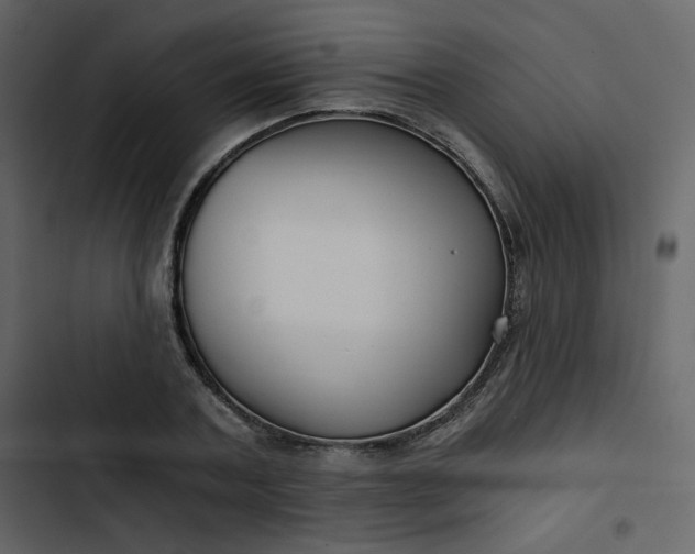 X0000102820787200809021249