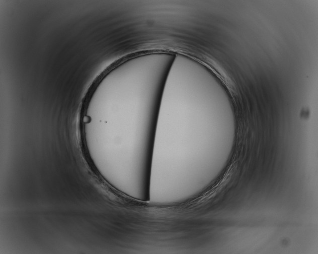 X0000102820788200809021249