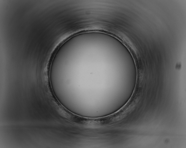 X0000102820789200809021249
