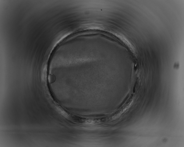 X0000102820790200809021249