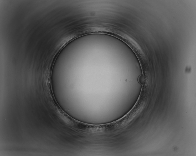 X0000102820793200809021249