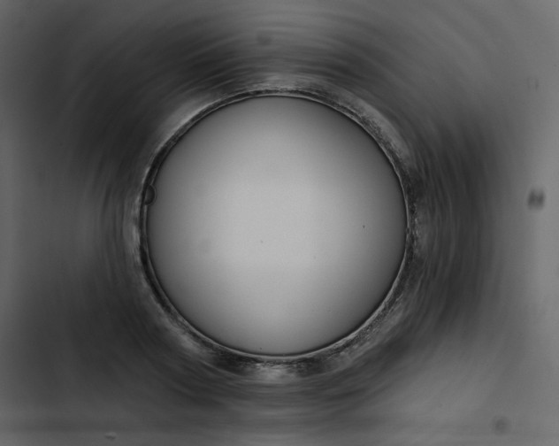X0000102820794200809021249