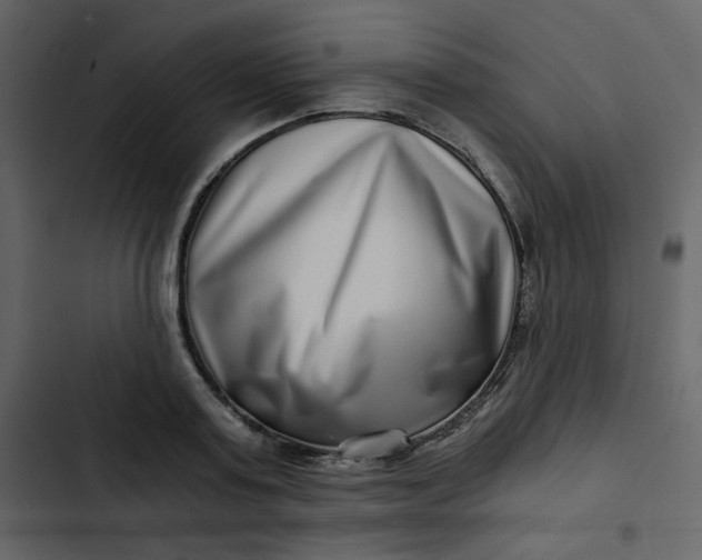 X0000102820795200809021249