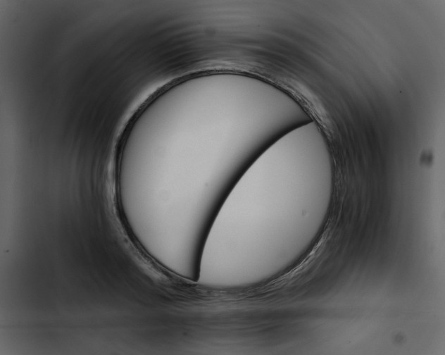 X0000102820796200809021249