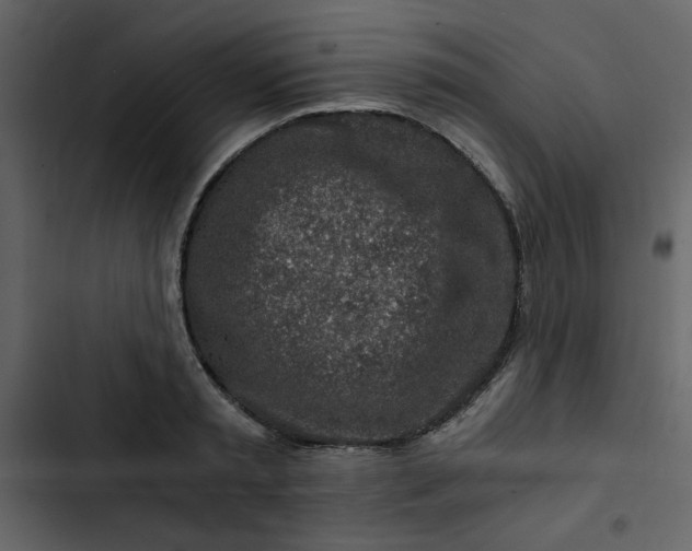 X0000102820797200809021249