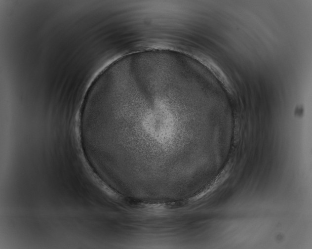 X0000102820798200809021249