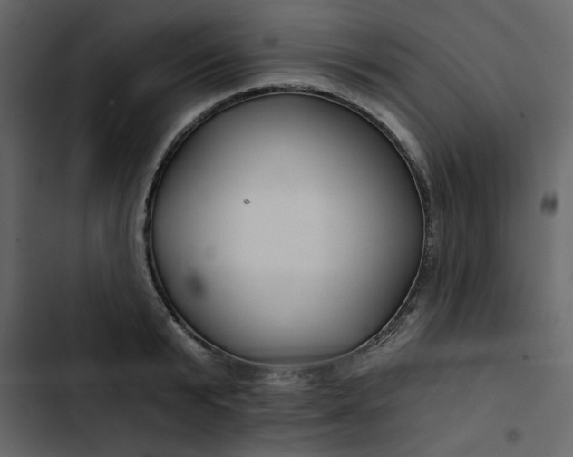 X0000102820799200809021249