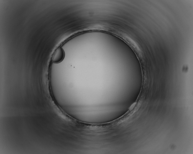 X0000102820800200809021249