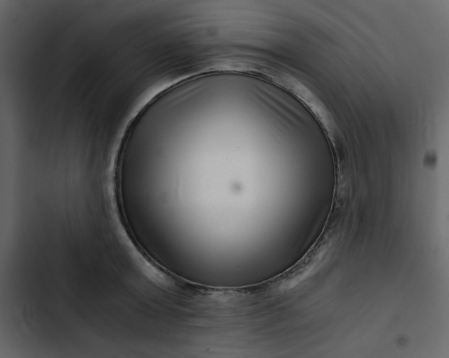 X0000102820803200809021249