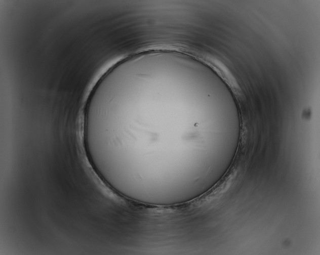 X0000102820804200809021249