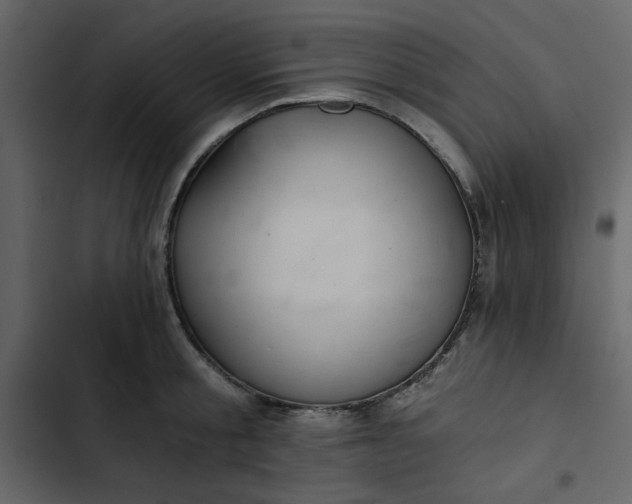 X0000102820805200809021249