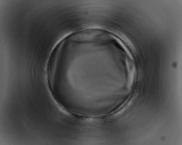 X0000102820806200809021249
