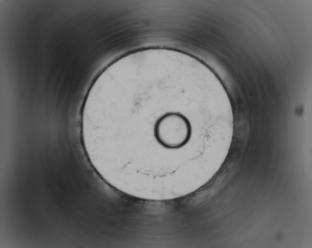 X0000102820807200809021249