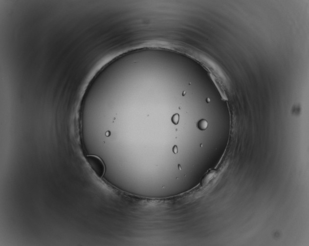 X0000102820808200809021249