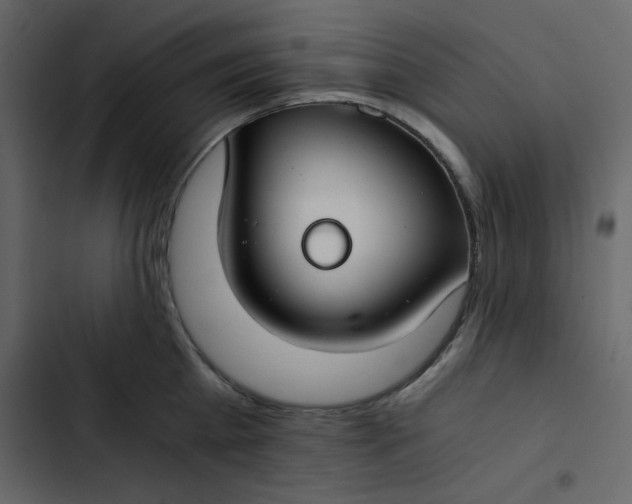 X0000102820809200809021249