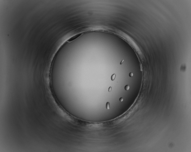 X0000102820810200809021249