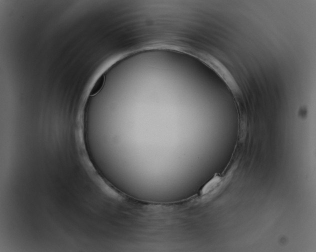 X0000102820812200809021249