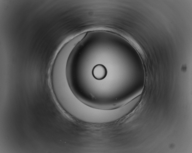 X0000102820813200809021249