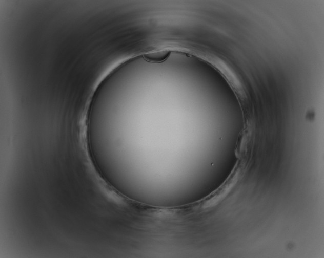 X0000102820814200809021249