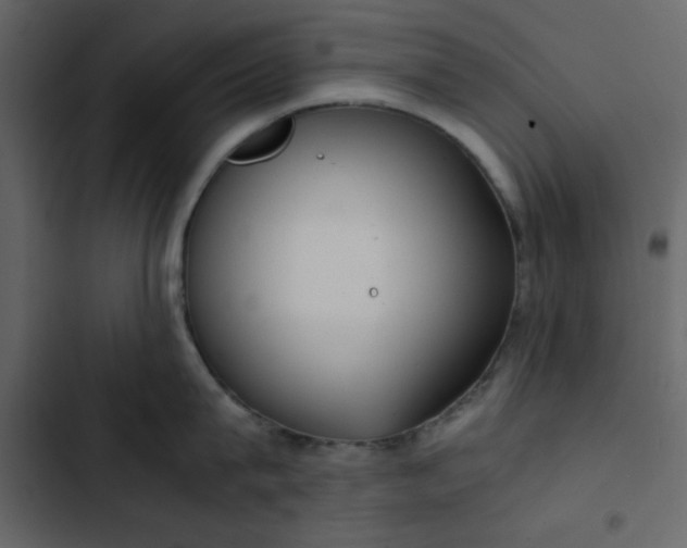 X0000102820815200809021249