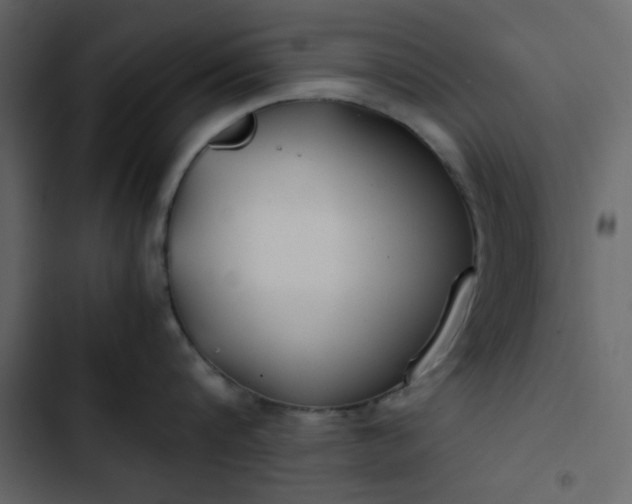 X0000102820816200809021249