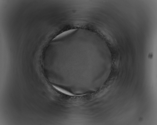 X0000102820817200809021248
