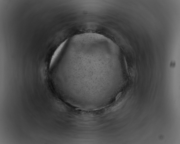 X0000102820818200809021248