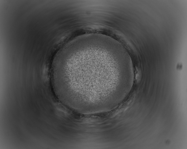 X0000102820819200809021248