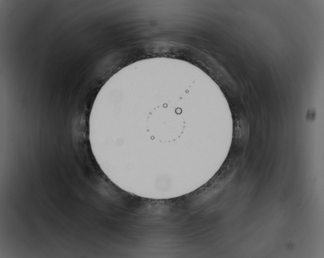 X0000102820820200809021248