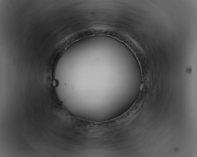 X0000102820821200809021248