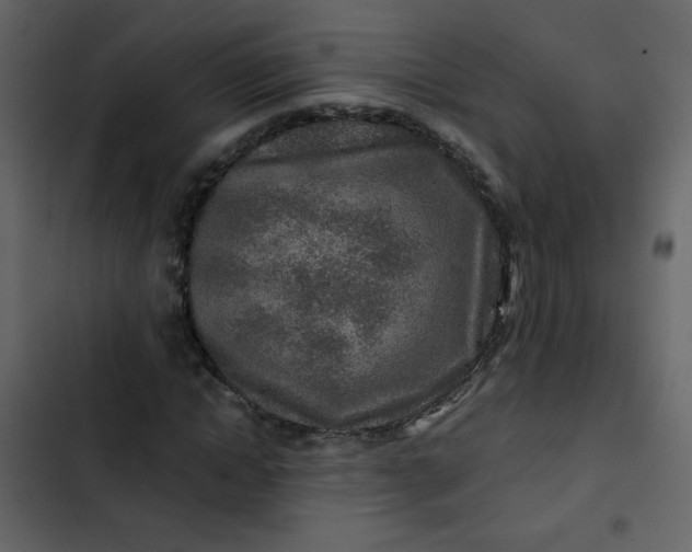 X0000102820822200809021248