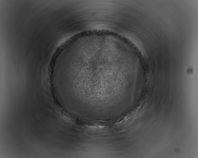 X0000102820823200809021248