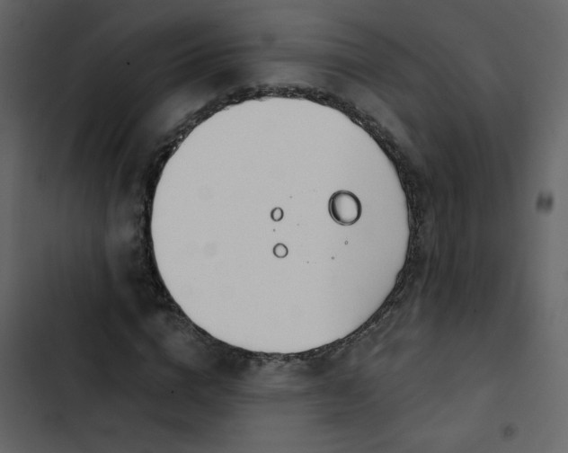X0000102820824200809021248