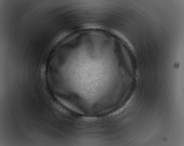 X0000102820825200809021248