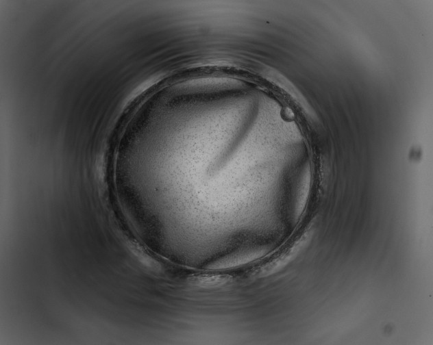 X0000102820826200809021249