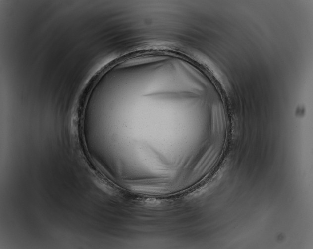 X0000102820827200809021249