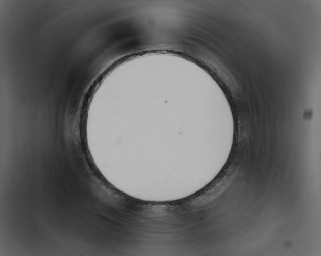X0000102820828200809021249