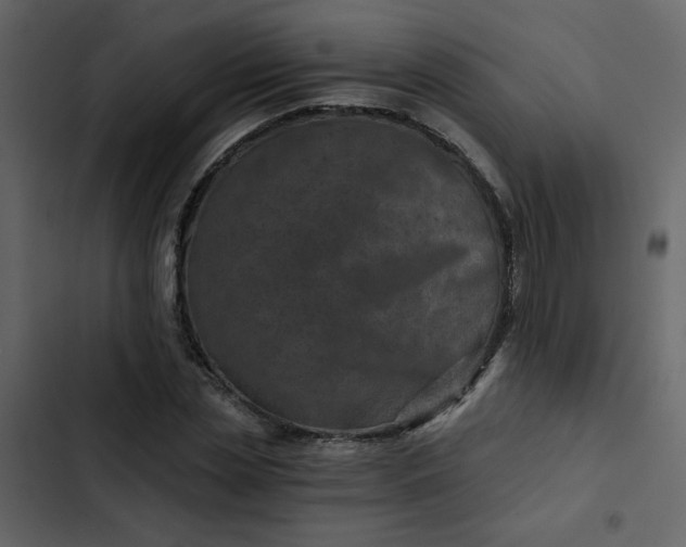 X0000102820829200809021249