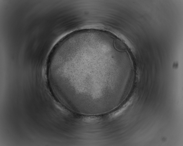 X0000102820830200809021249