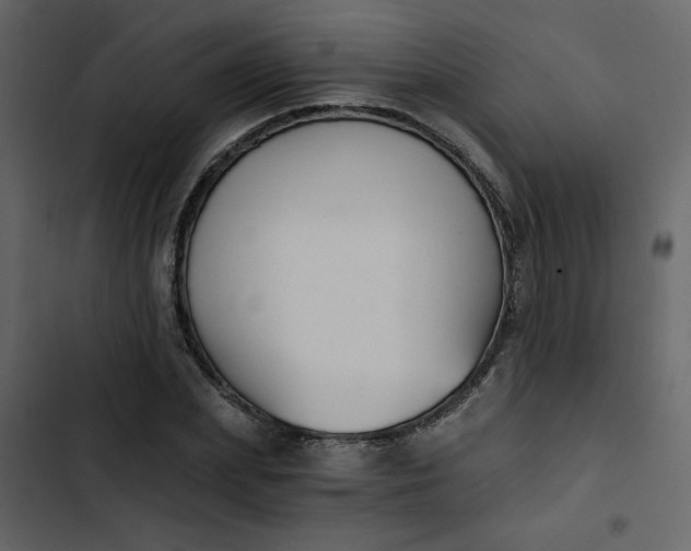 X0000102820831200809021249